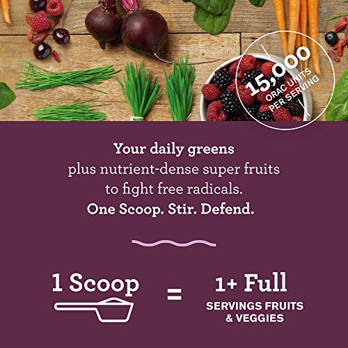Amazing Grass Green Superfood Antioxidant: Organic Plant Based Antioxidant and Wheat Grass Powder for full body recovery, 8 servings of Fruits and Veggies per Scoop, Sweet Berry Flavor, 60 Servings - Image 3