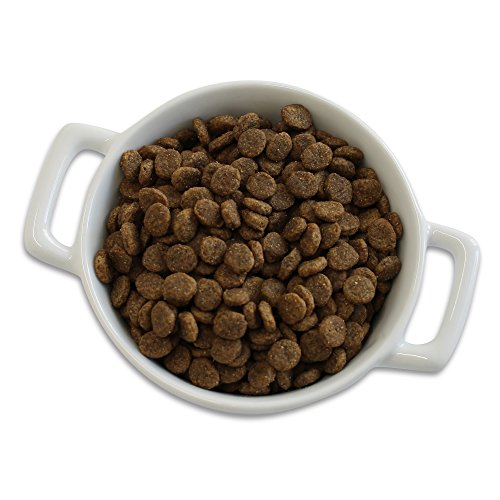 Castor & Pollux Organix Grain Free Organic Small Breed Recipe Recipe Dry Dog Food 4Lbs - Image 6